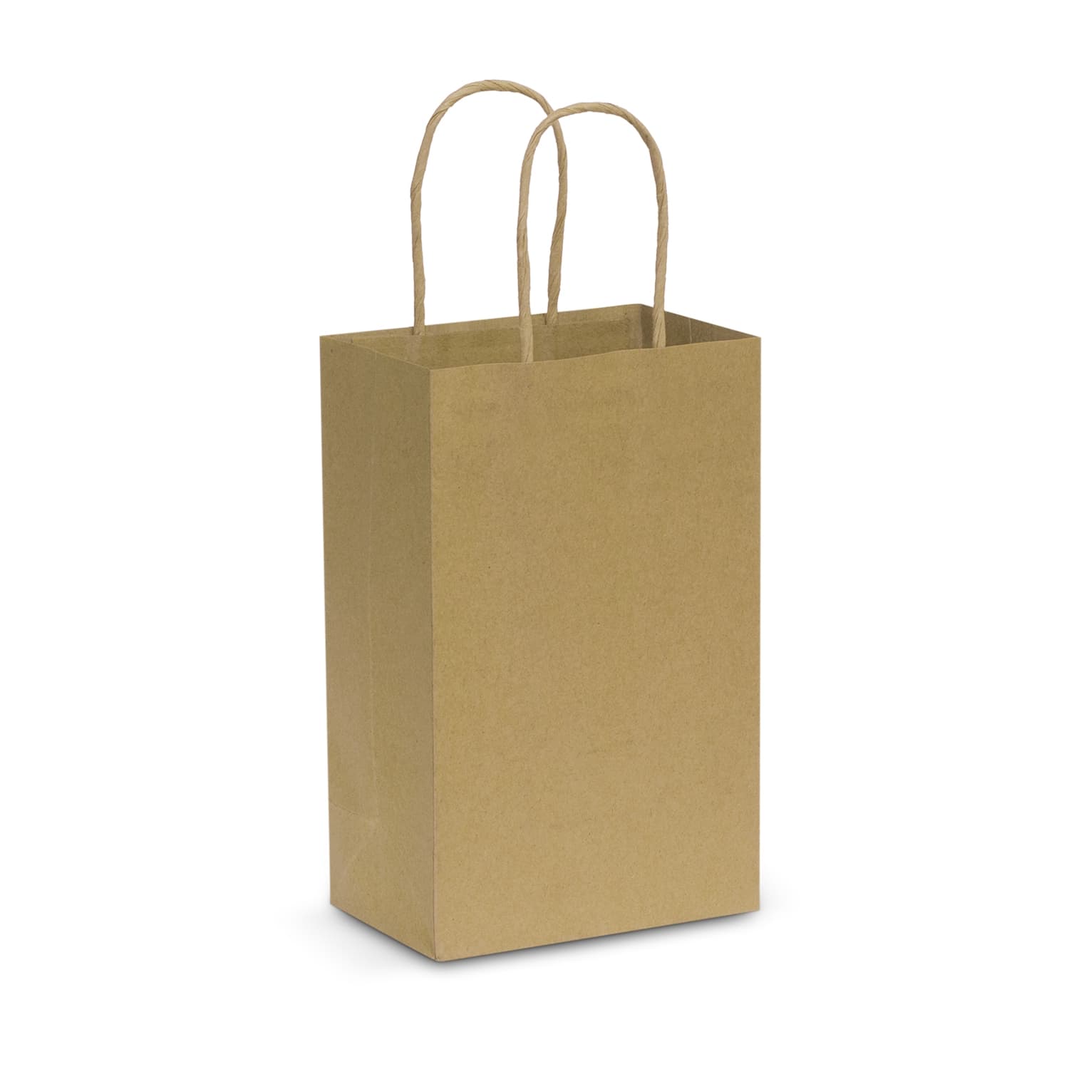 Paper Carry Bag - Small — view 3 of 4