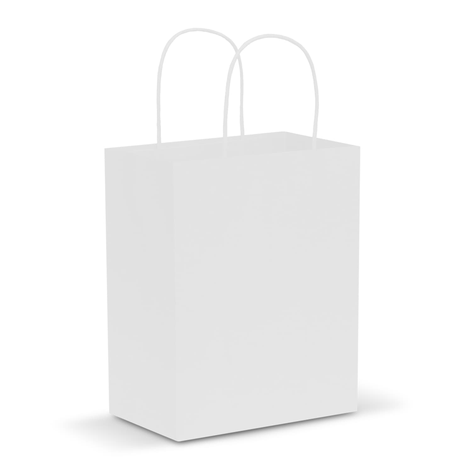 Paper Carry Bag - Medium — view 4 of 4