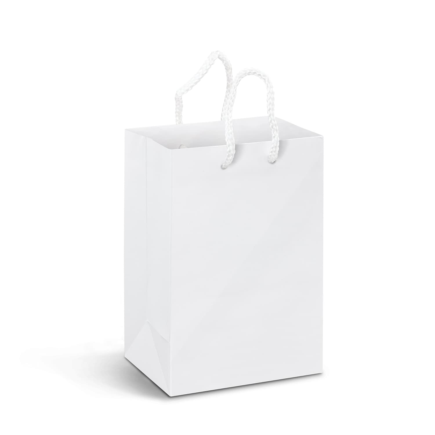 Small Laminated Paper Carry Bag - Full Colour — view 2 of 2