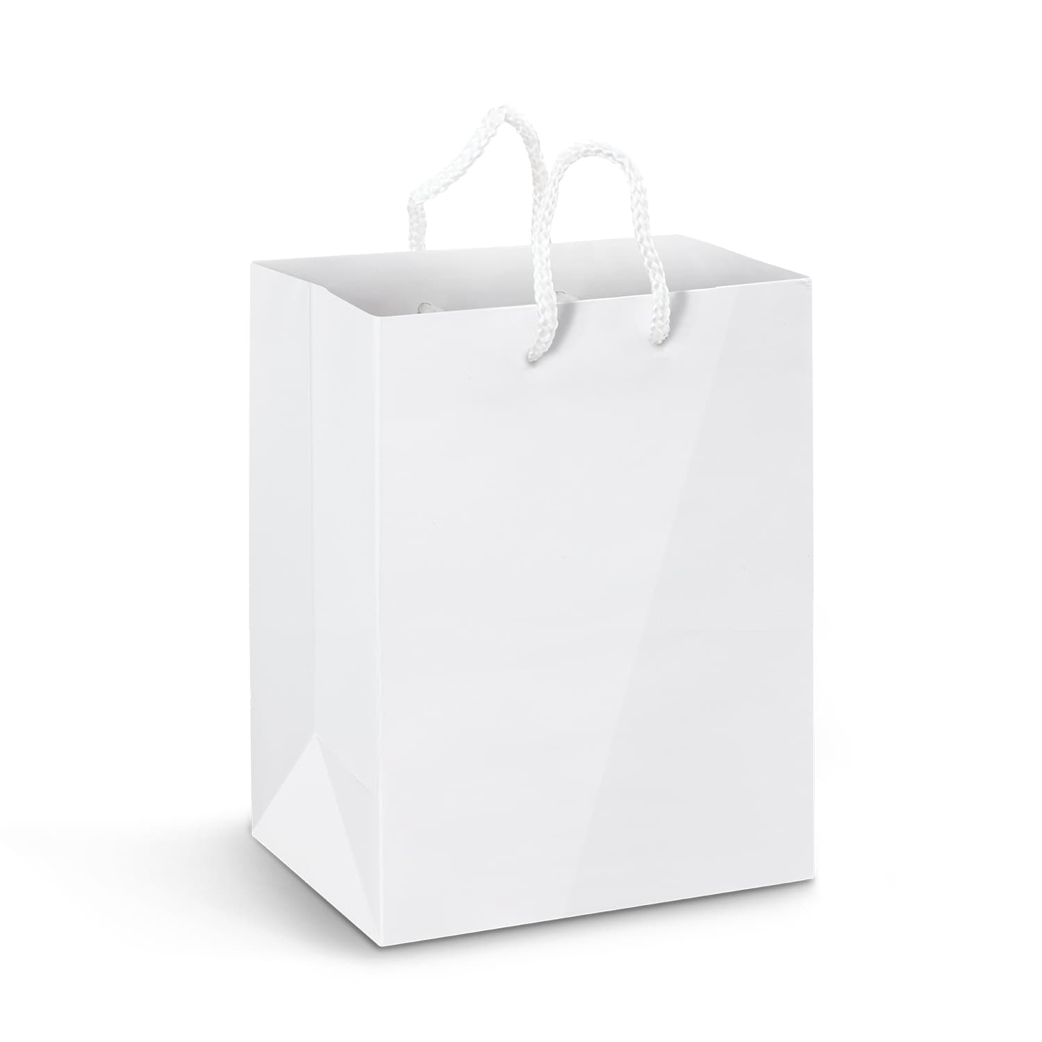 Large Laminated Paper Carry Bag - Full Colour — view 2 of 2