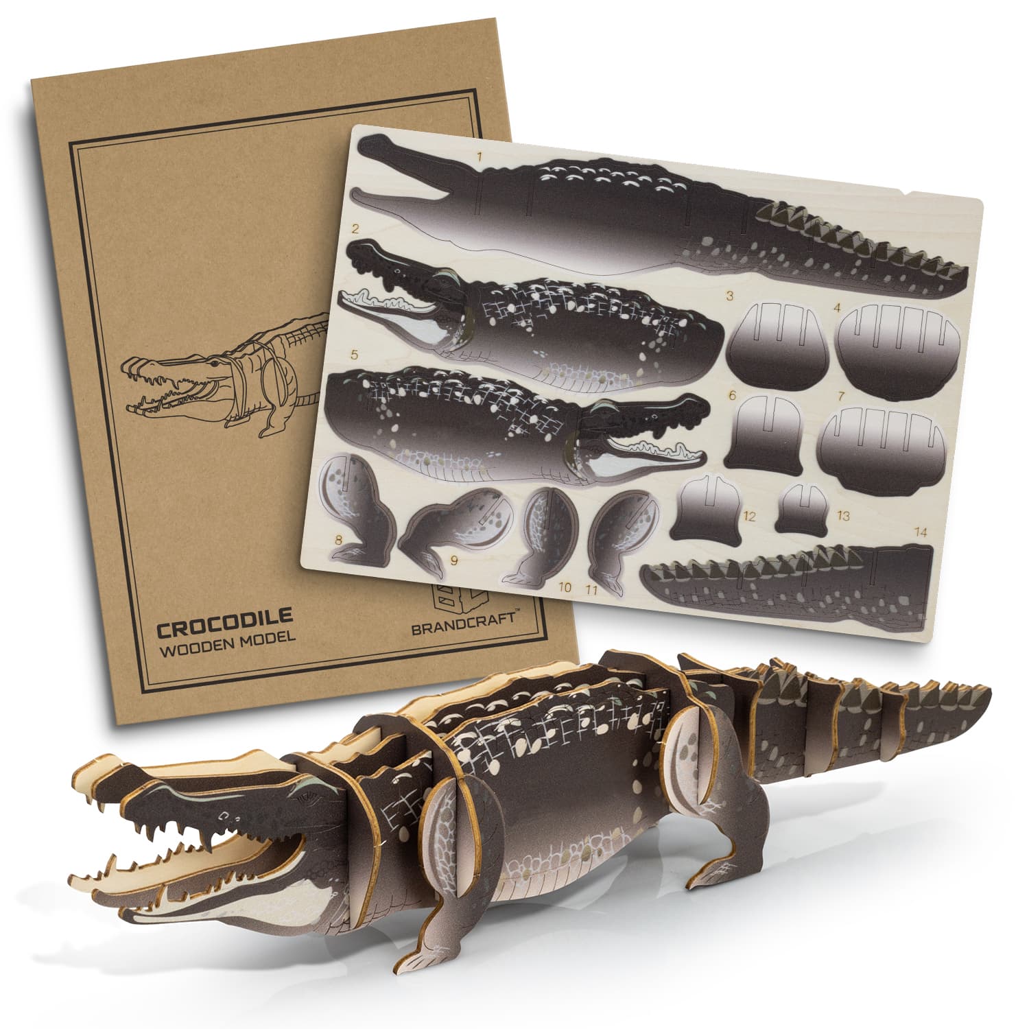 BRANDCRAFT Crocodile Wooden Model — view 2 of 4