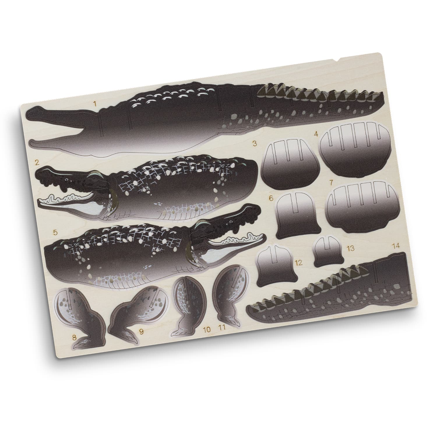 BRANDCRAFT Crocodile Wooden Model — view 4 of 4