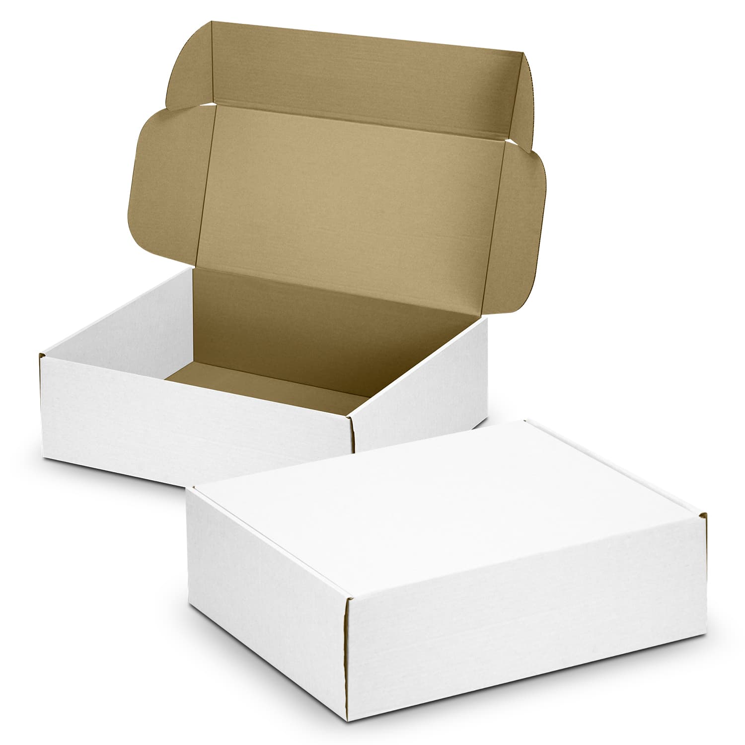 Die Cut Box with Locking Lid - 502x295x150mm — view 4 of 4