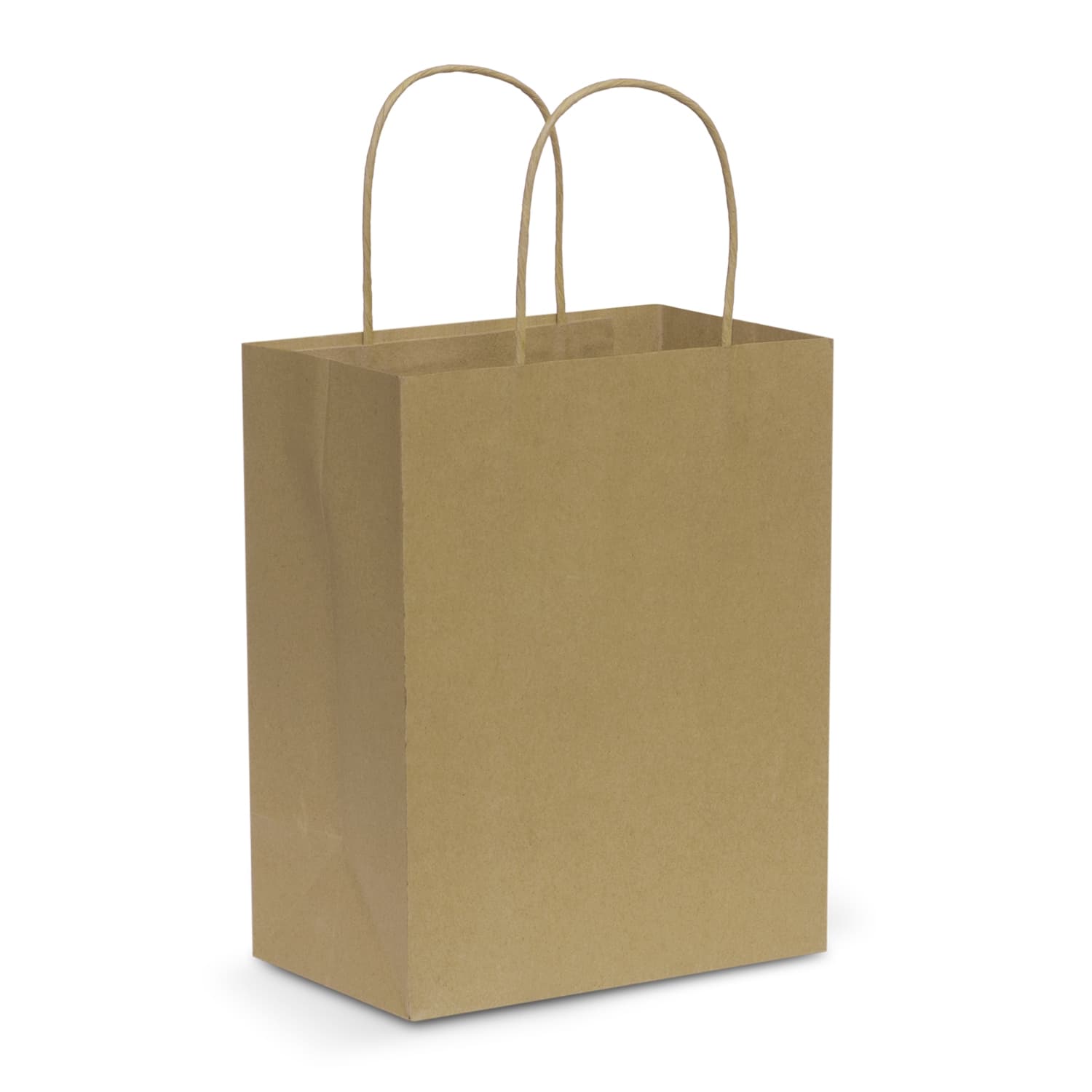 Paper Carry Bag - Medium — view 3 of 4