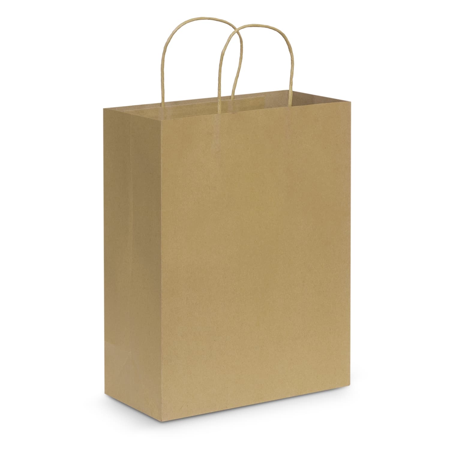 Paper Carry Bag - Large — view 3 of 4