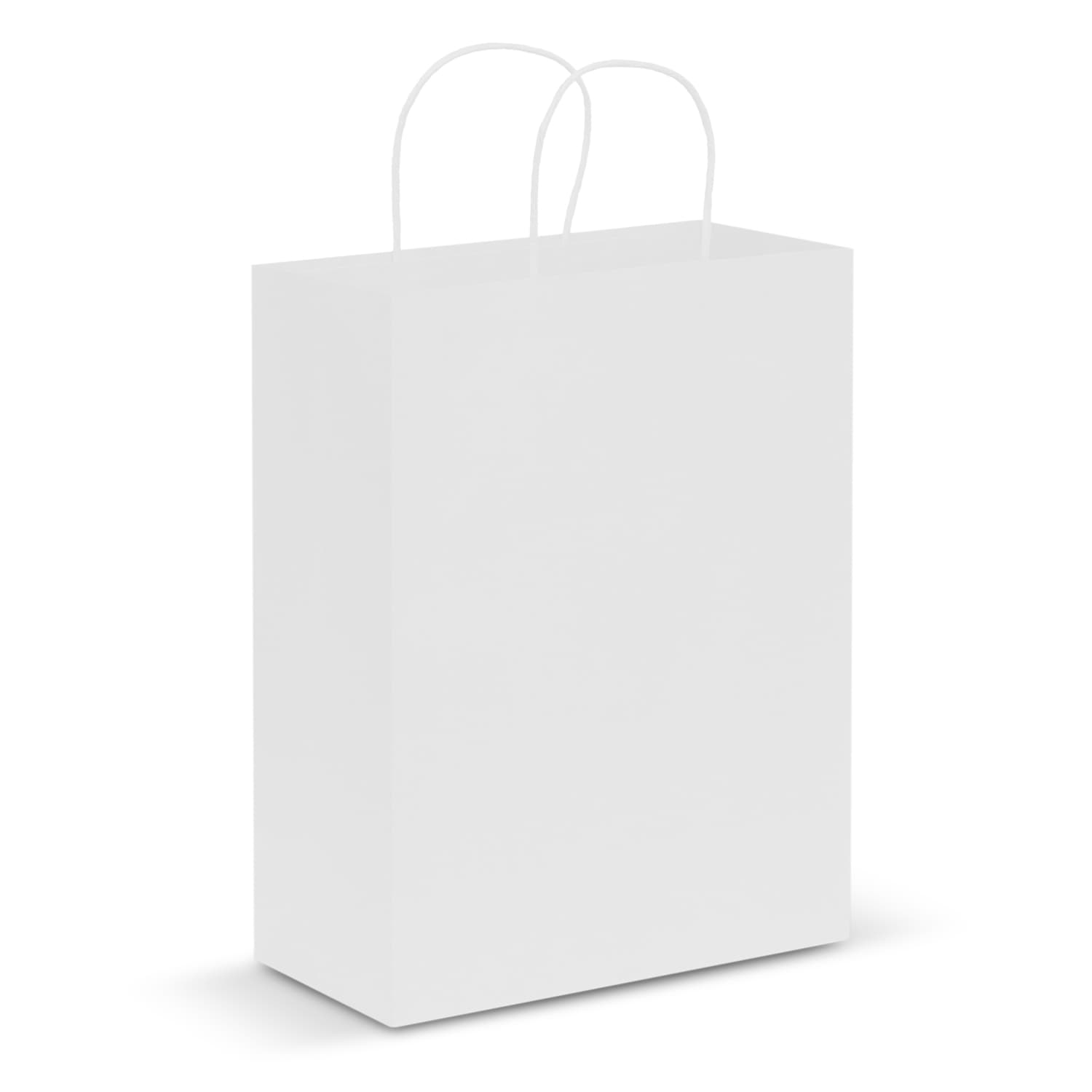 Paper Carry Bag - Large — view 4 of 4