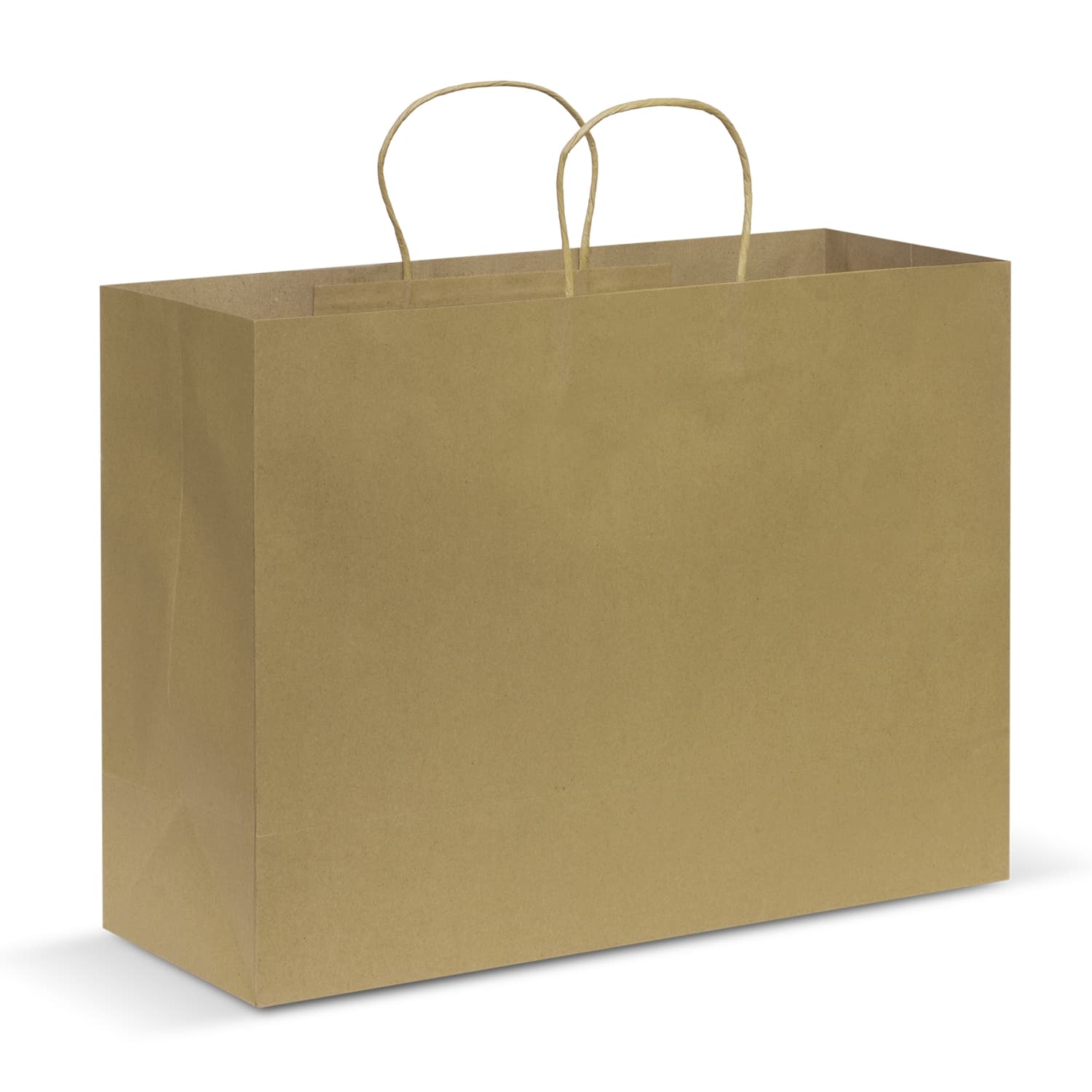 Paper Carry Bag - Extra Large — view 3 of 4