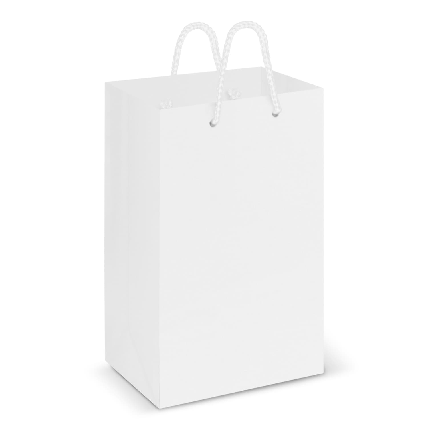 Laminated Carry Bag - Small — view 2 of 3