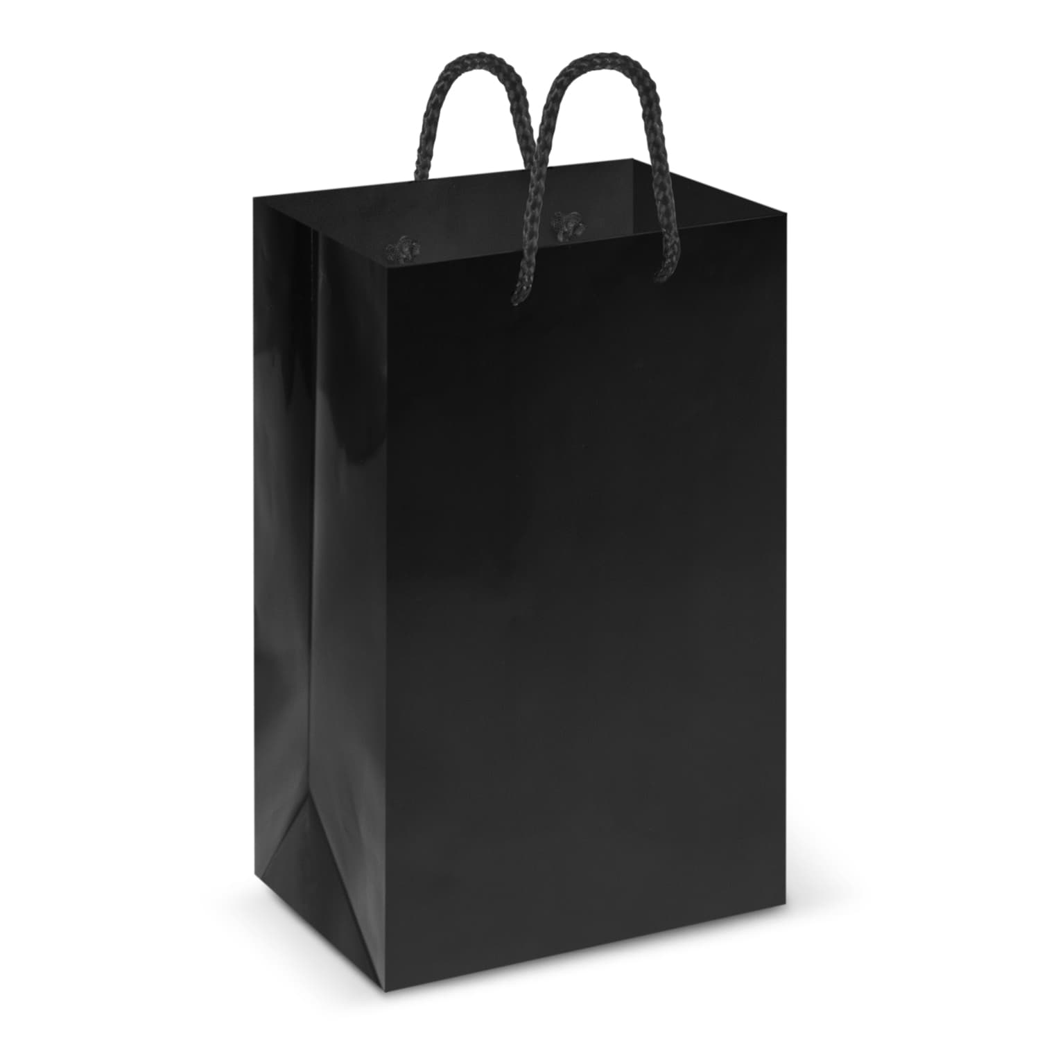 Laminated Carry Bag - Small — view 3 of 3