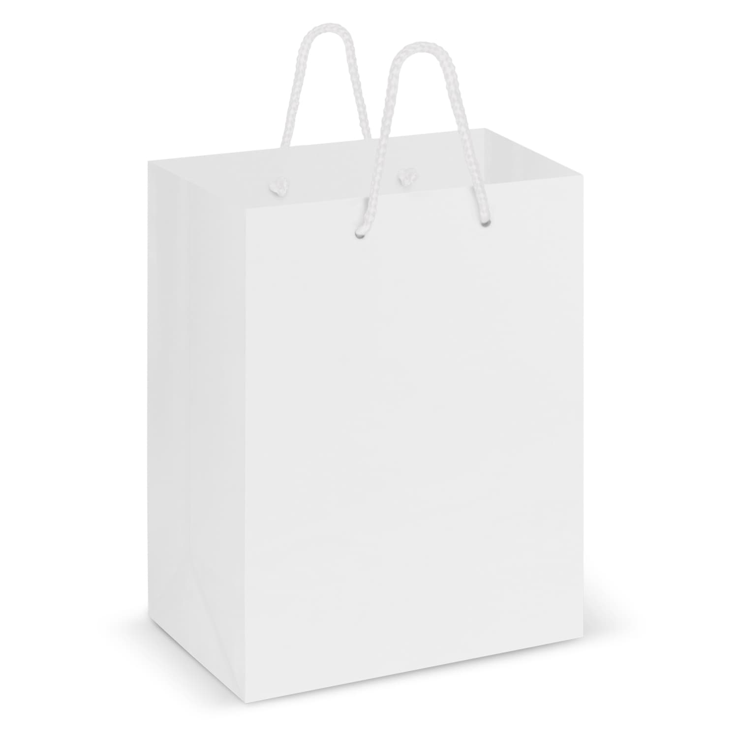 Laminated Carry Bag - Medium — view 2 of 3
