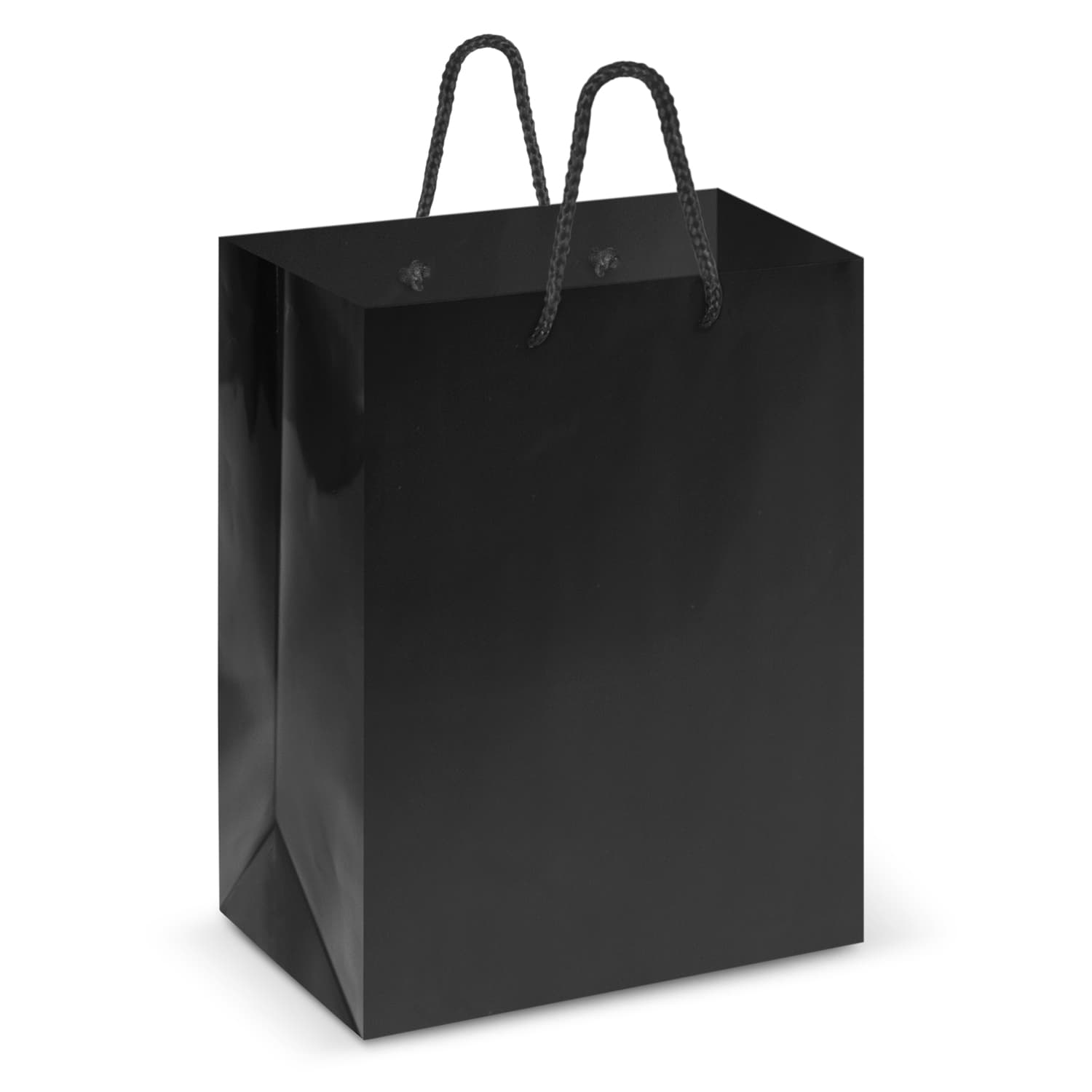 Laminated Carry Bag - Medium — view 3 of 3