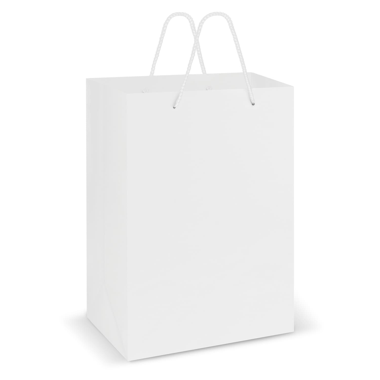 Laminated Carry Bag - Large — view 2 of 3