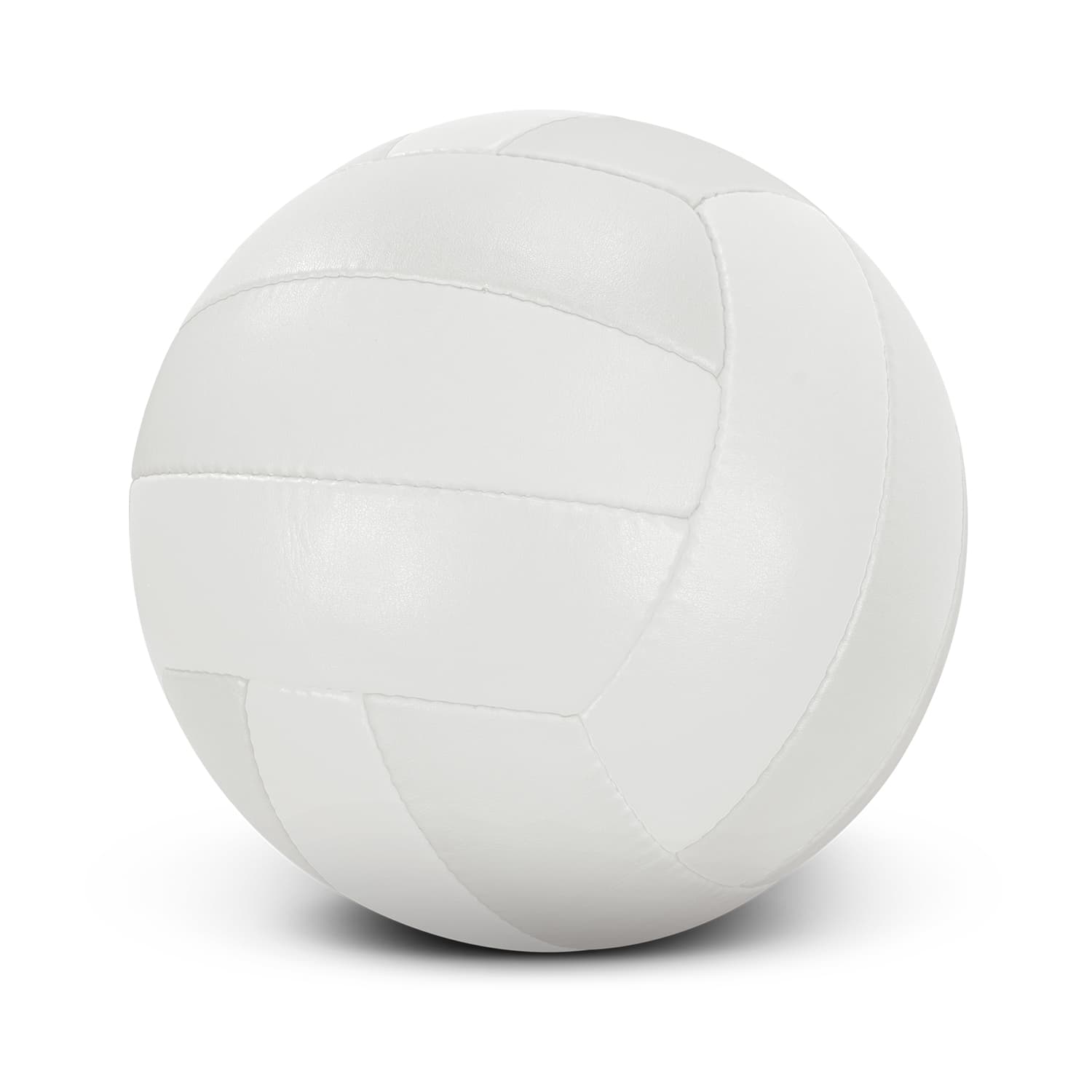 Volleyball Pro — view 3 of 3