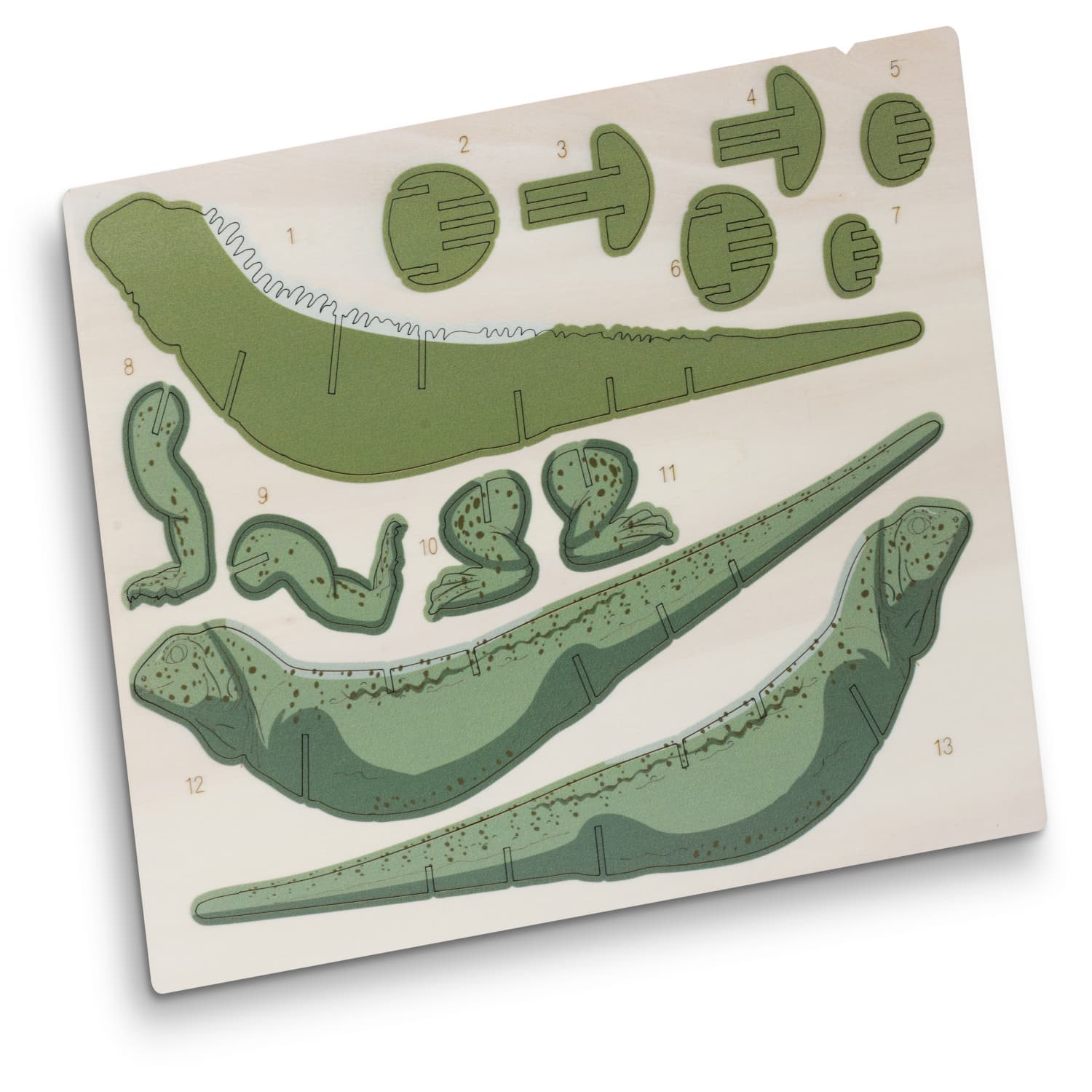 BRANDCRAFT Tuatara Wooden Model — view 4 of 4