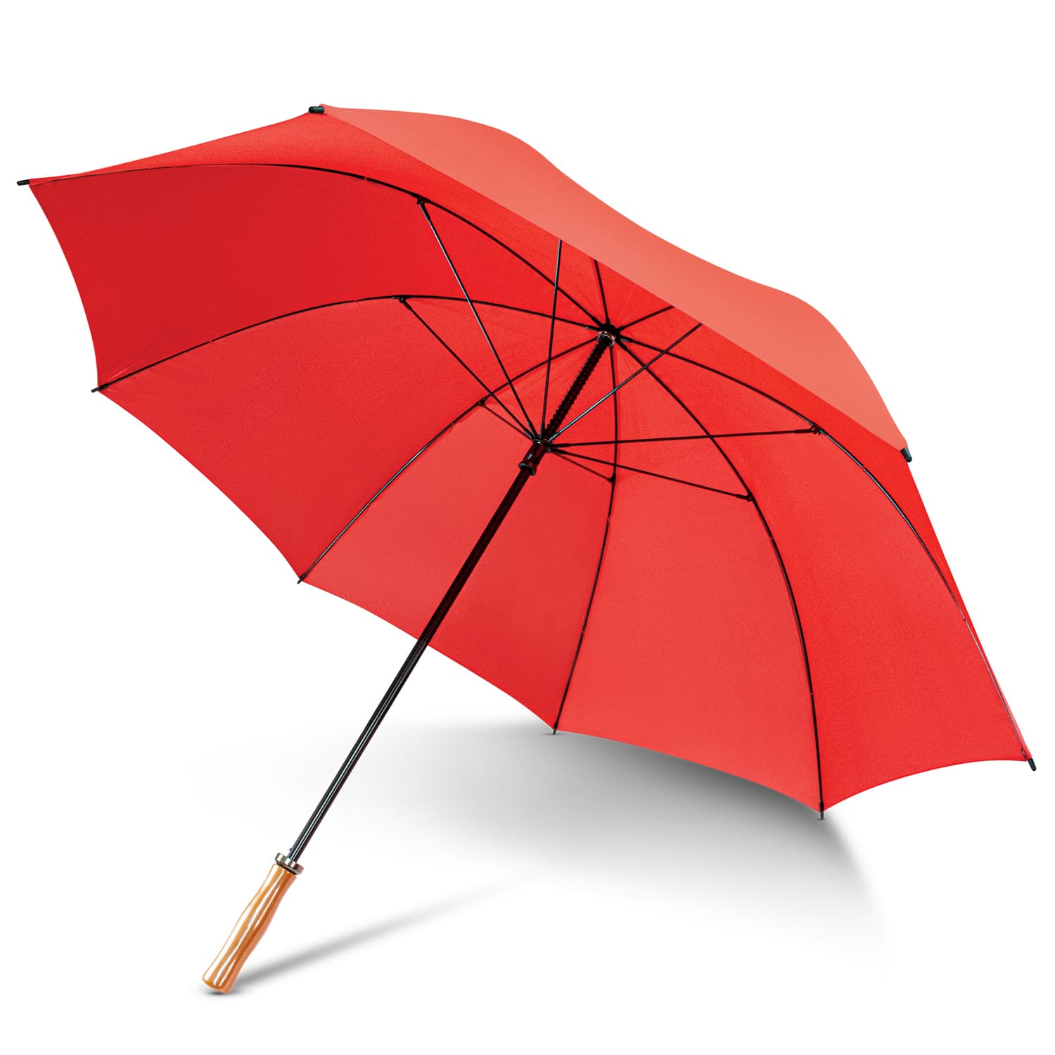 Pro Umbrella — view 3 of 4